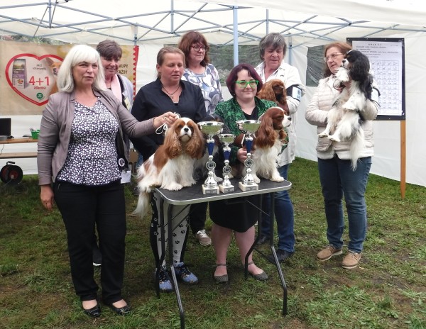 KV 2020-I, 11.7.2020, Městec Králové